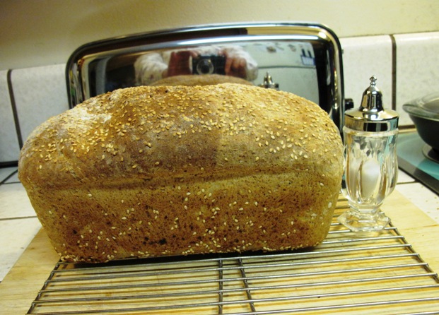 sprouting-for-ezekiel-bread-the-fresh-loaf